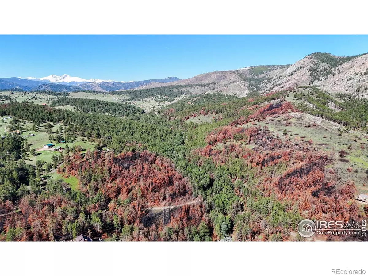 Drake, CO 80515,1841 Spruce Mountain DR