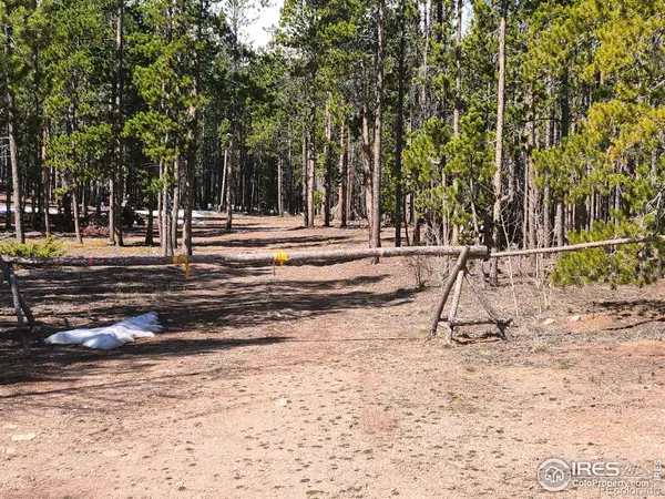 Red Feather Lakes, CO 80545,86 Timicua CT