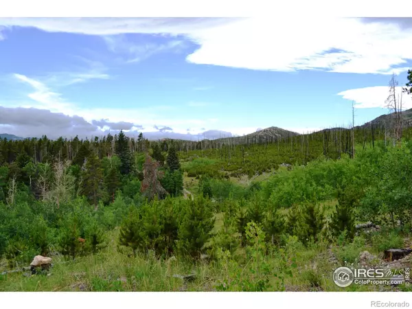 1256 Basking Dog RD, Bellvue, CO 80512