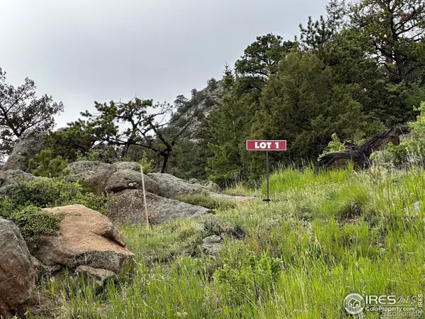 Estes Park, CO 80517,151 Curry DR