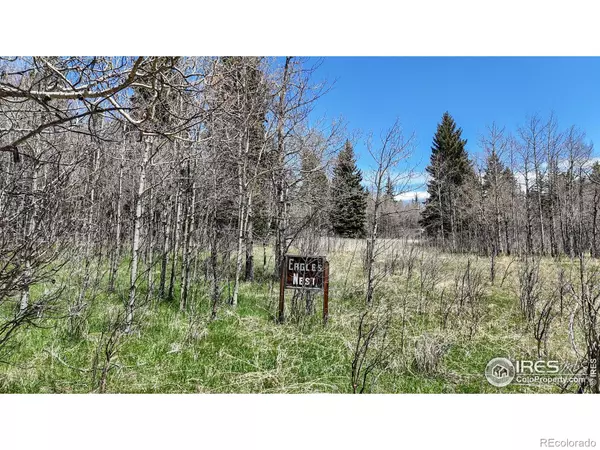 Drake, CO 80515,Galuchie DR