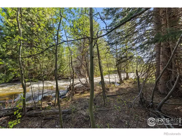 Nederland, CO 80466,105 S Caribou ST