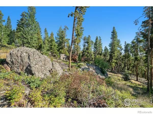 Drake, CO 80515,231 Granite DR