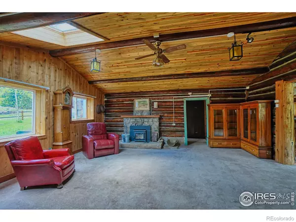 545 Eldorado AVE, Nederland, CO 80466