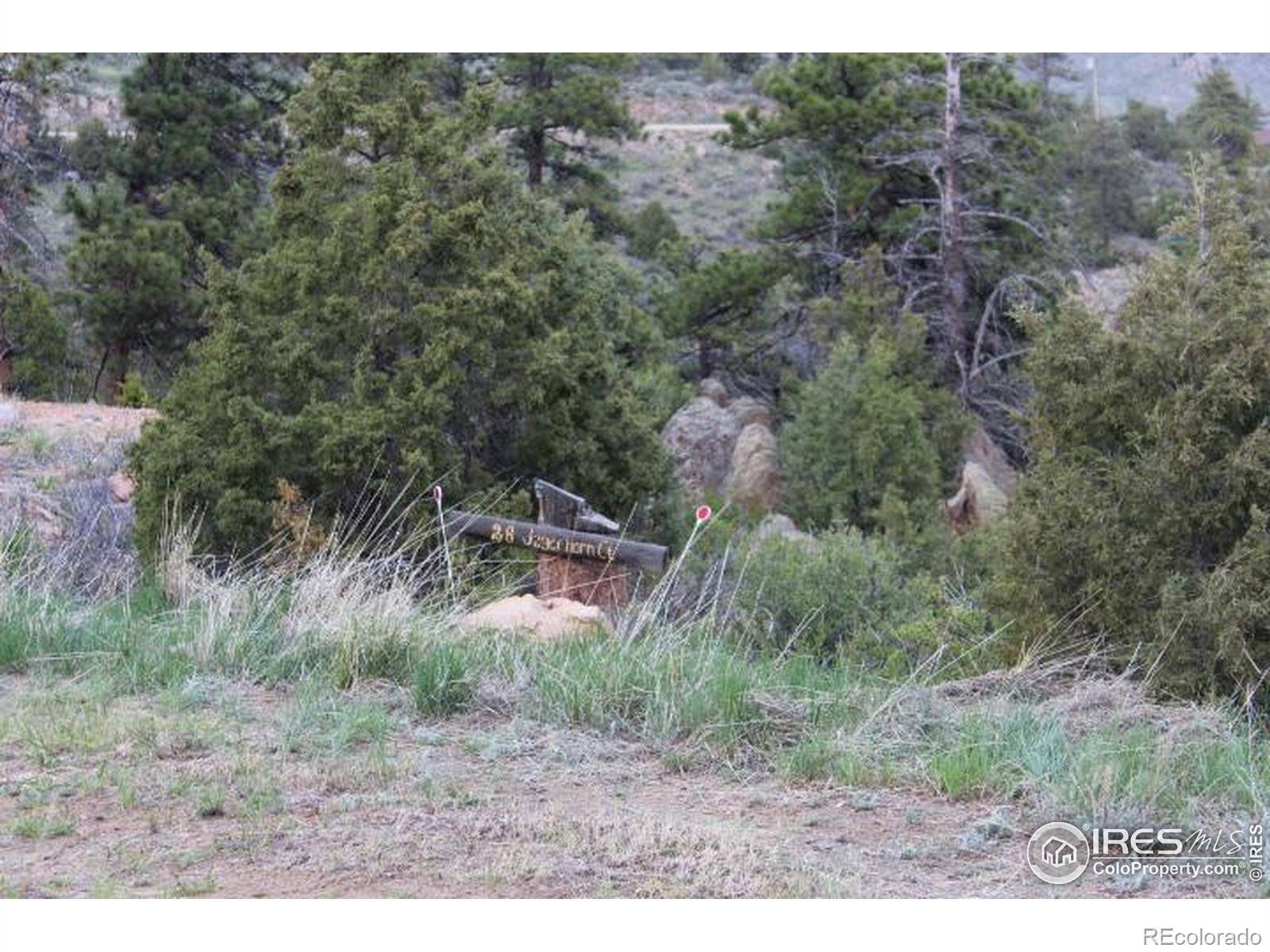 Livermore, CO 80536,28 Jagerhorn CT