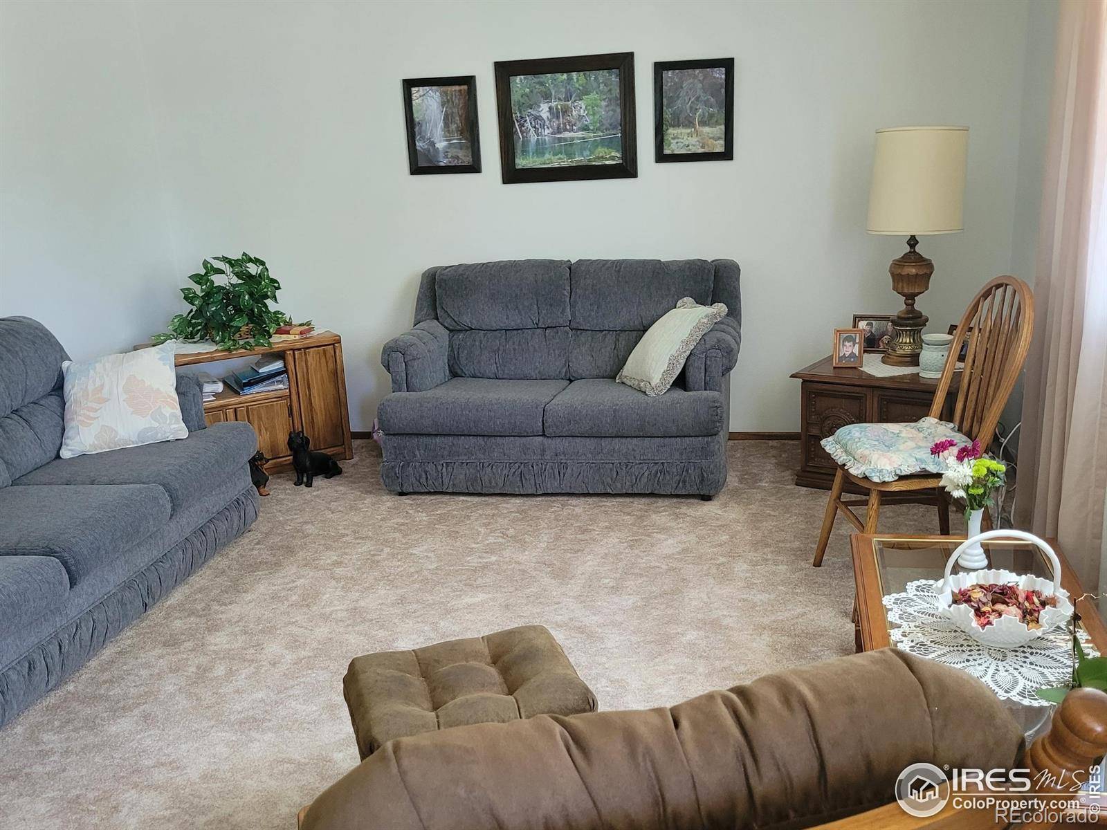 Longmont, CO 80501,1918 Sumac PL