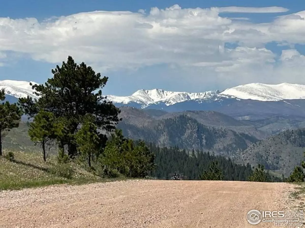 Livermore, CO 80536,80 Little Bald Mountain CT