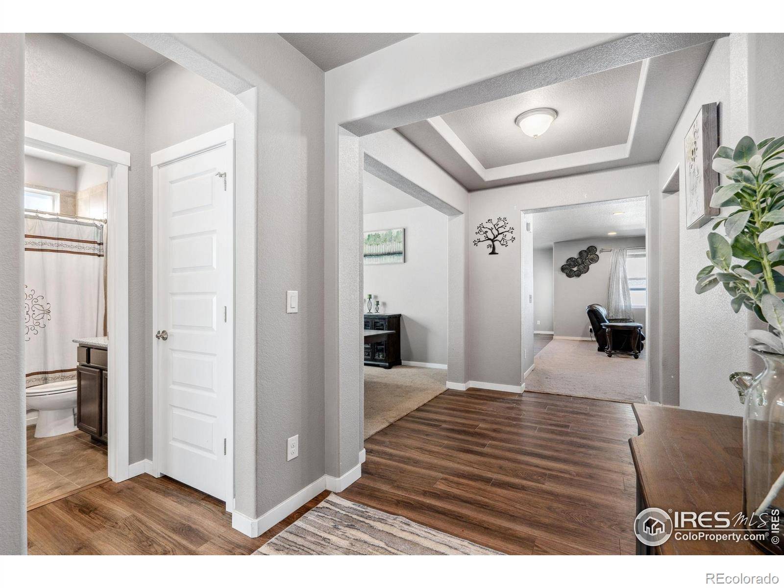 Windsor, CO 80550,5176 Chantry DR