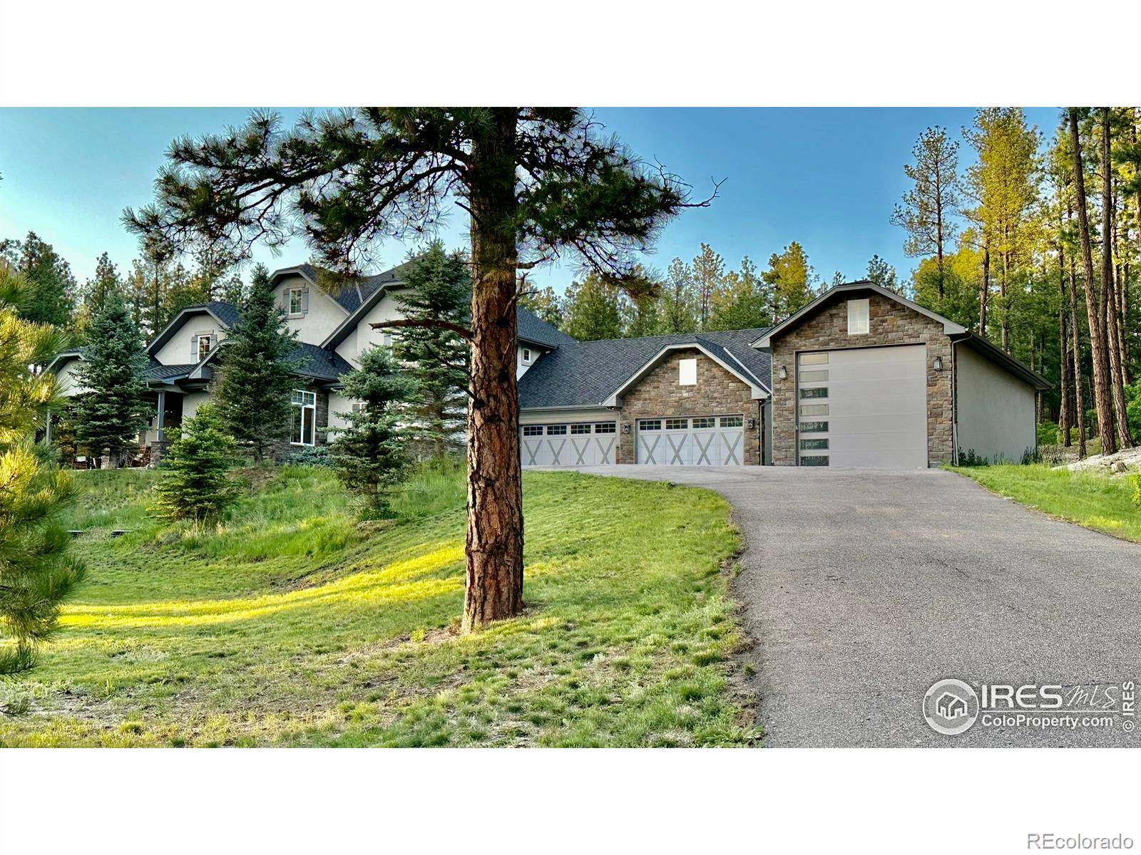 Franktown, CO 80116,10525 Wild Fox PL