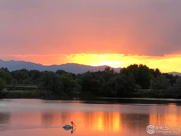 Windsor, CO 80550,116 Cobble CT