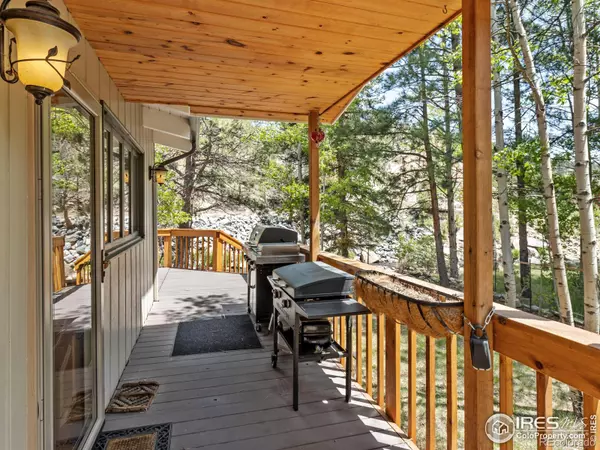 Drake, CO 80515,135 Canyon River RD