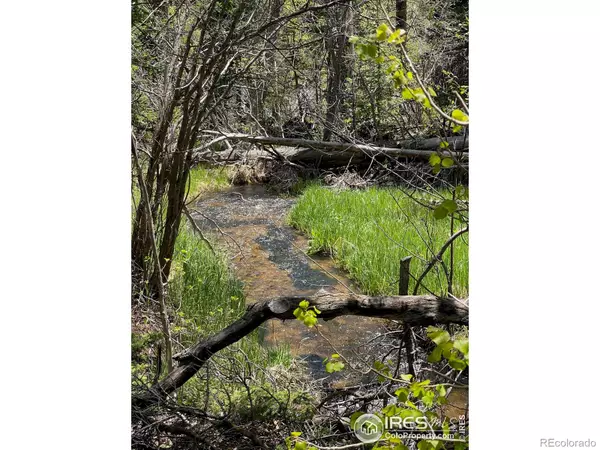 Allenspark, CO 80510,503 County Road 113N