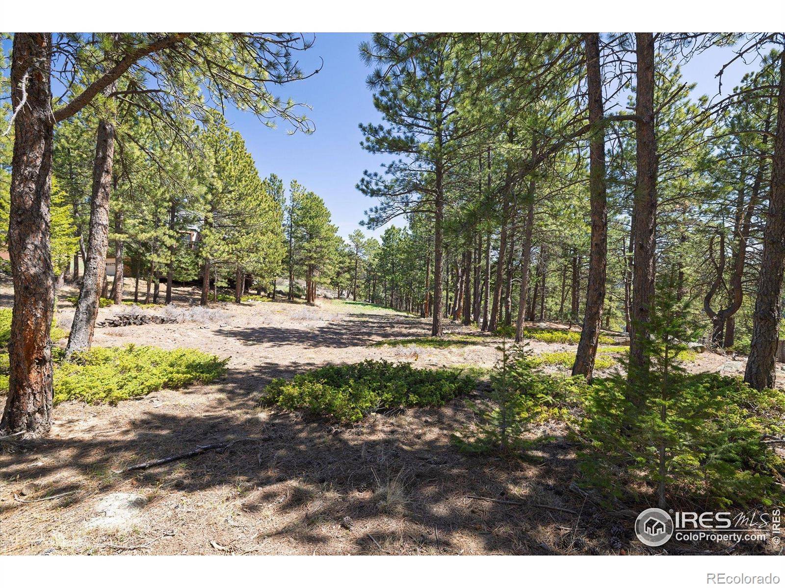 Nederland, CO 80466,213 Rocky Knob LN