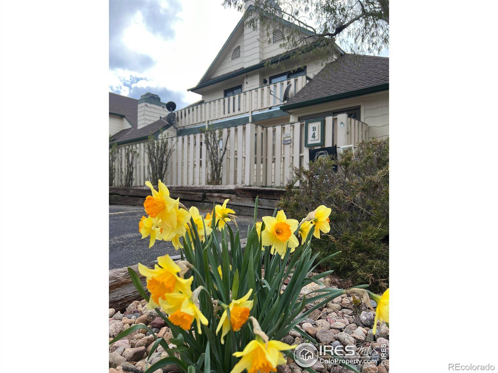 1010 S Saint Vrain AVE #4, Estes Park, CO 80517