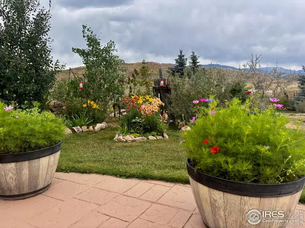 Livermore, CO 80536,572 Horse Mountain DR