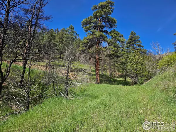 Bellvue, CO 80512,0 TBD County Road 69