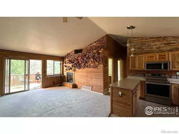 Bailey, CO 80421,303 Virginia RD #E