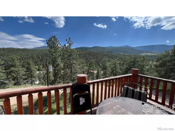 303 Virginia RD #E, Bailey, CO 80421