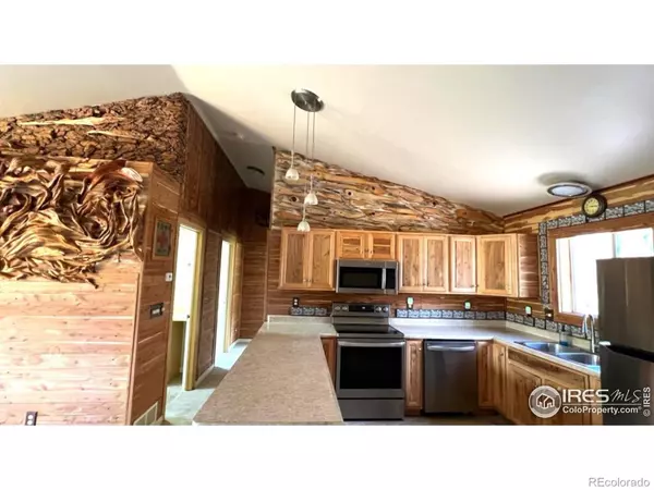 Bailey, CO 80421,303 Virginia RD #E