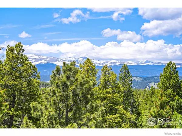 Black Hawk, CO 80422,109 Cutforth RD