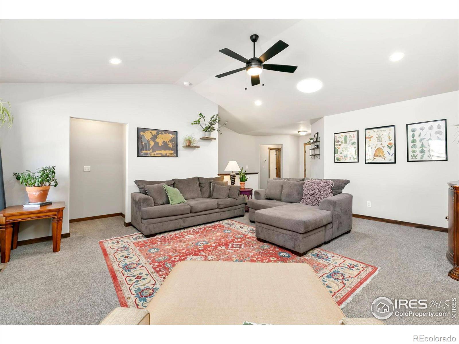 Wellington, CO 80549,3362 Buffalo Grass LN