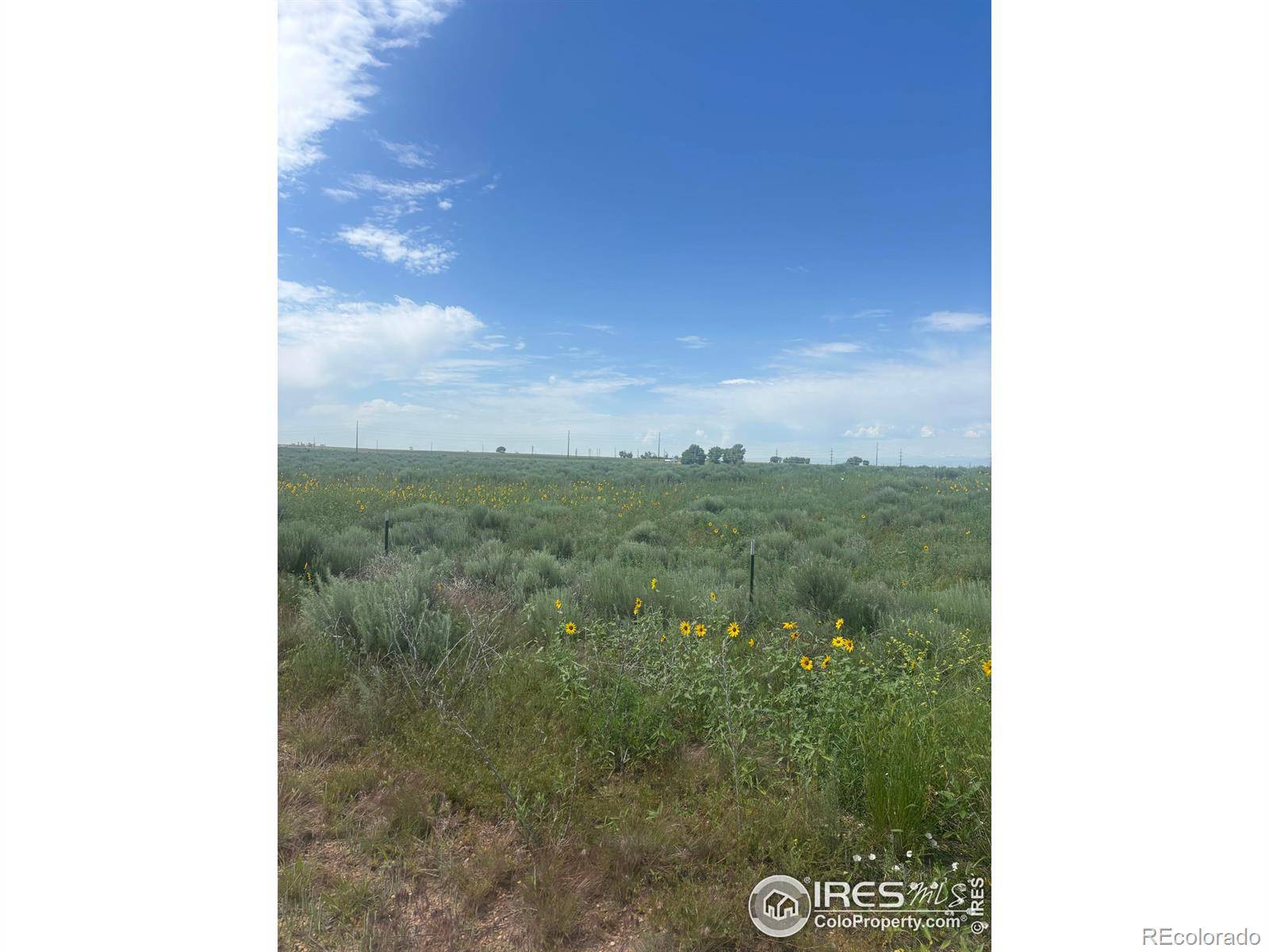 Platteville, CO 80651,1 County Road 28