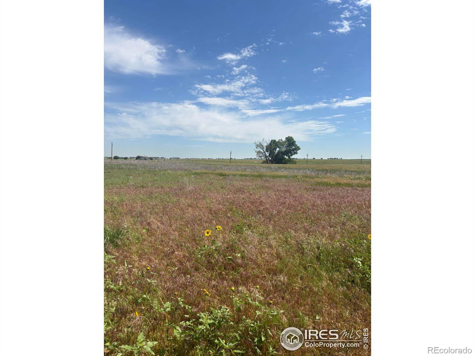 Platteville, CO 80651,1 County Road 28