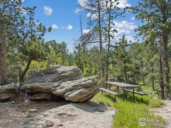 Allenspark, CO 80510,84 County Road 113