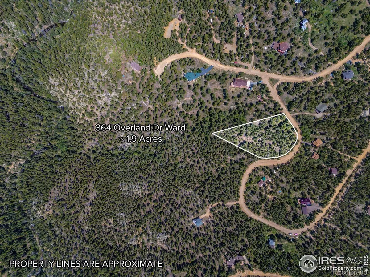 Ward, CO 80481,364 Overland DR