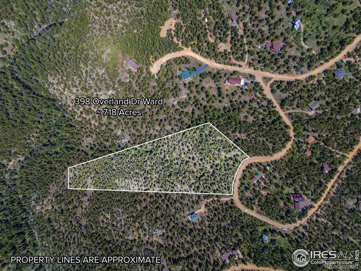 Ward, CO 80481,398 Overland DR