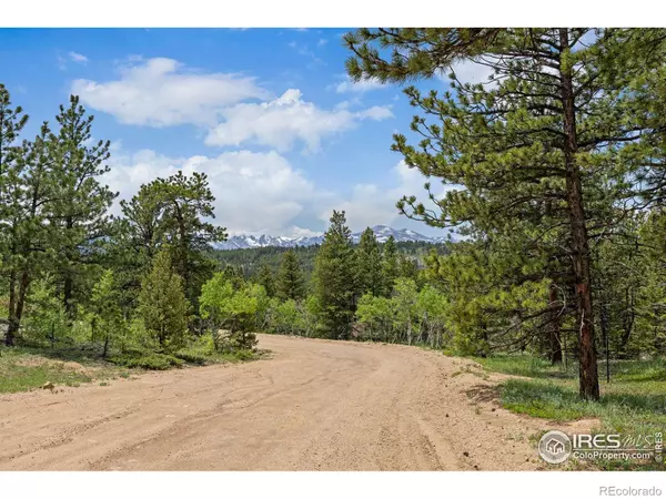 Ward, CO 80481,398 Overland DR