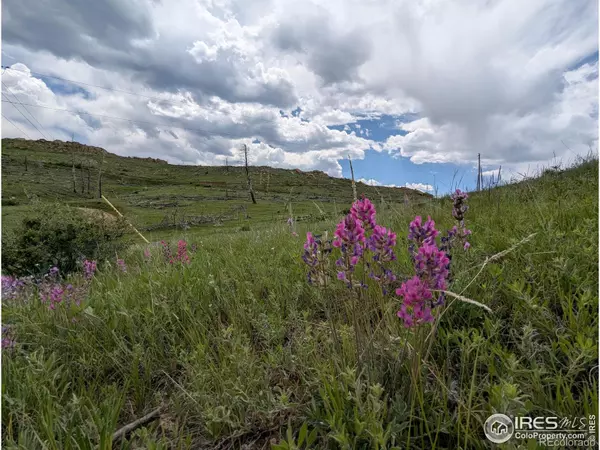 Livermore, CO 80536,598 Mount McConnell DR