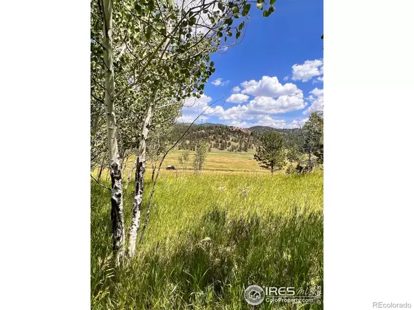 Florissant, CO 80816,313 Elliott DR
