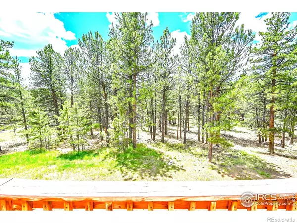 Bailey, CO 80421,56 Bounty Hunter LN