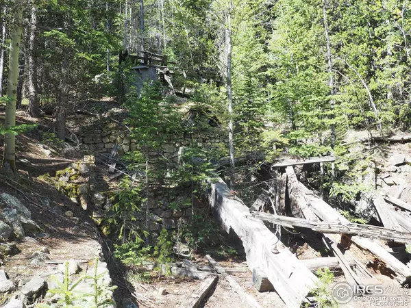 Black Hawk, CO 80422,0 Gamble Gulch