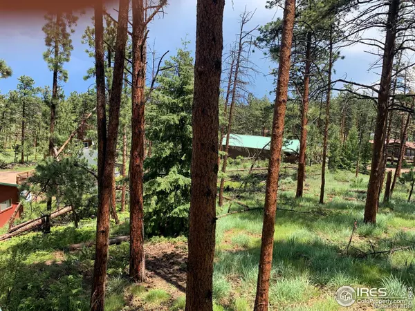 Red Feather Lakes, CO 80545,231 Snake Lake DR
