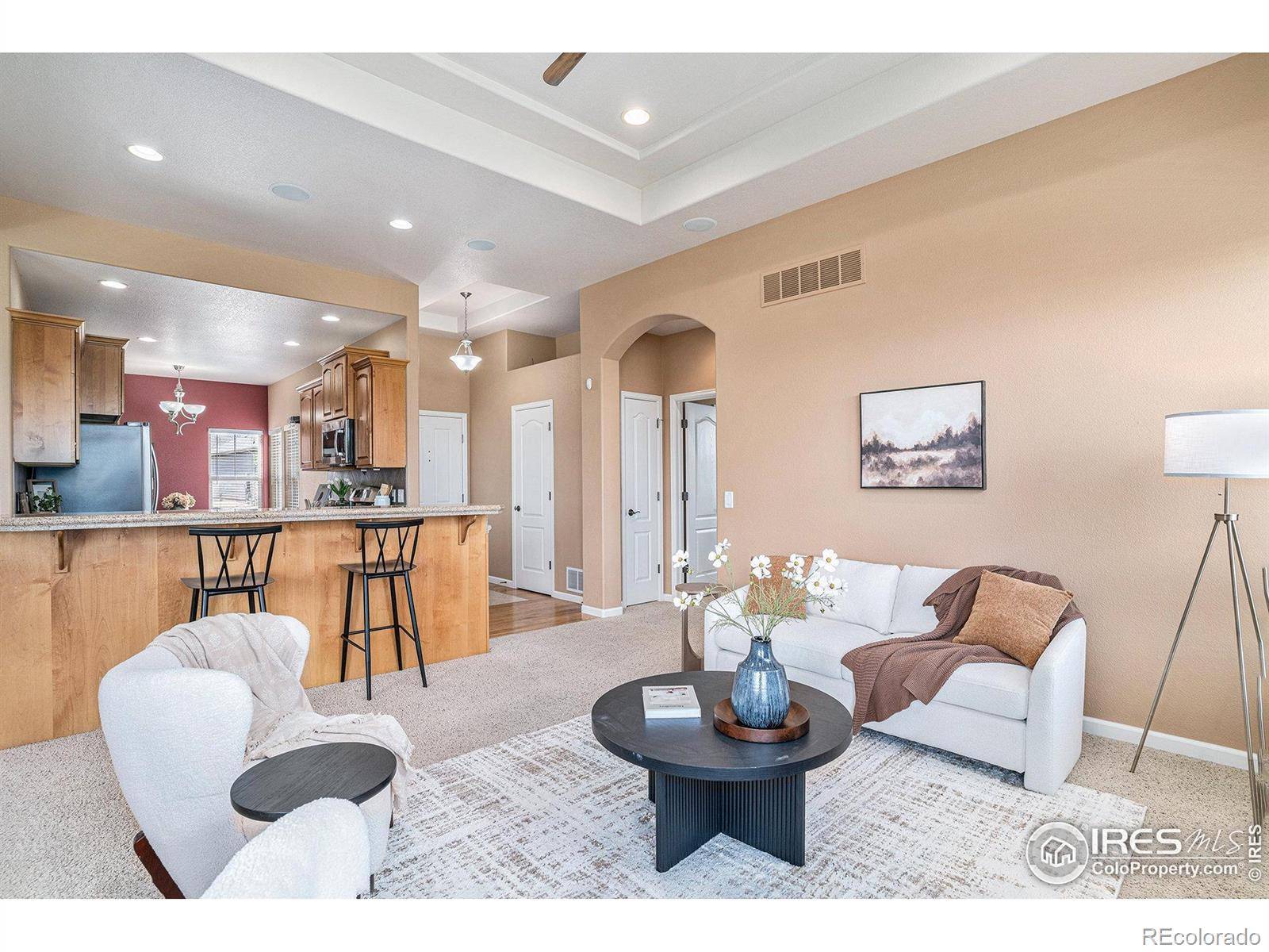 Loveland, CO 80538,5120 Coral Burst CIR