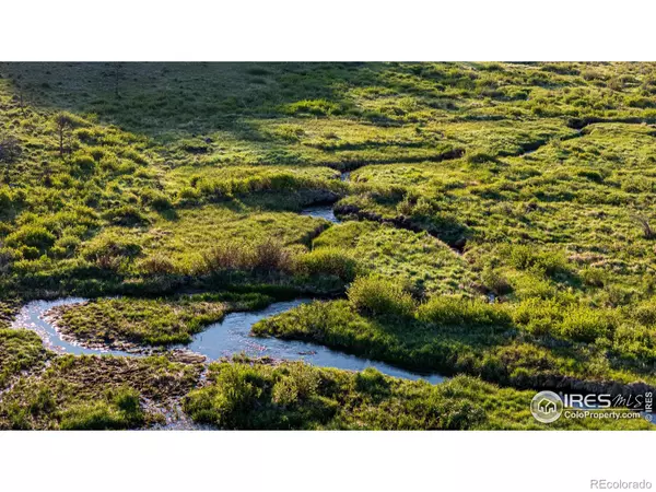 Red Feather Lakes, CO 80545,6730 County Road 69