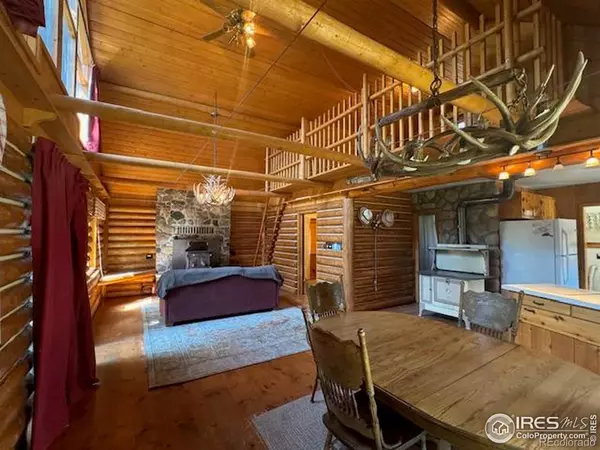 Bellvue, CO 80512,110 Meadow LN