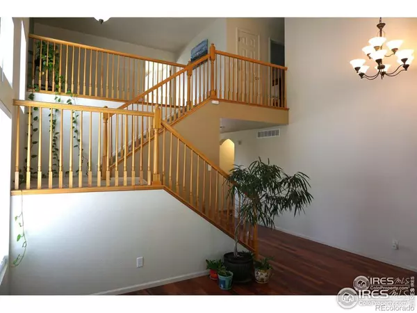 Thornton, CO 80602,12609 Jersey CIR