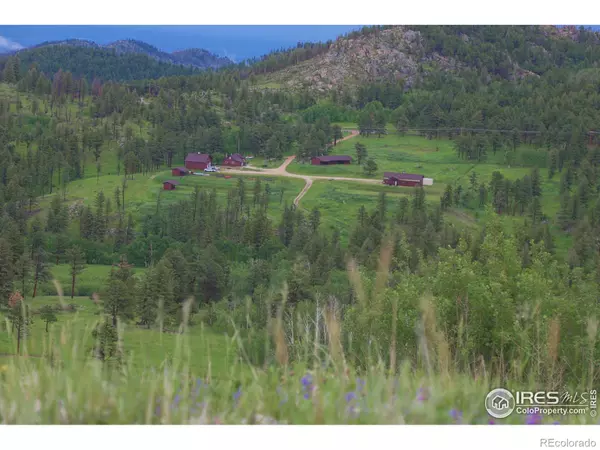 Bellvue, CO 80512,14884 Rist Canyon RD