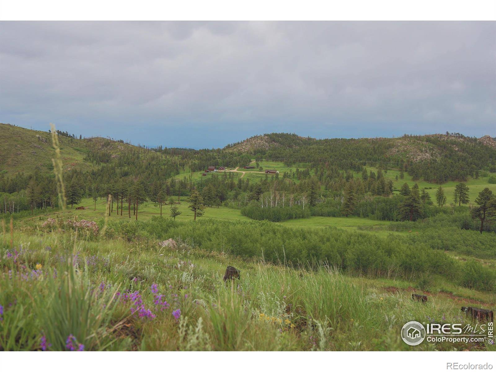 14884 Rist Canyon RD, Bellvue, CO 80512