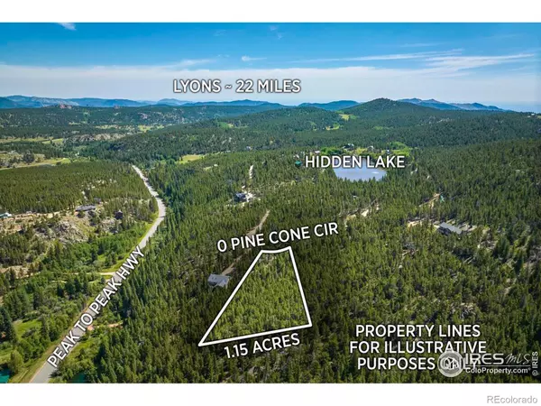 Ward, CO 80481,0 Pine Cone CIR