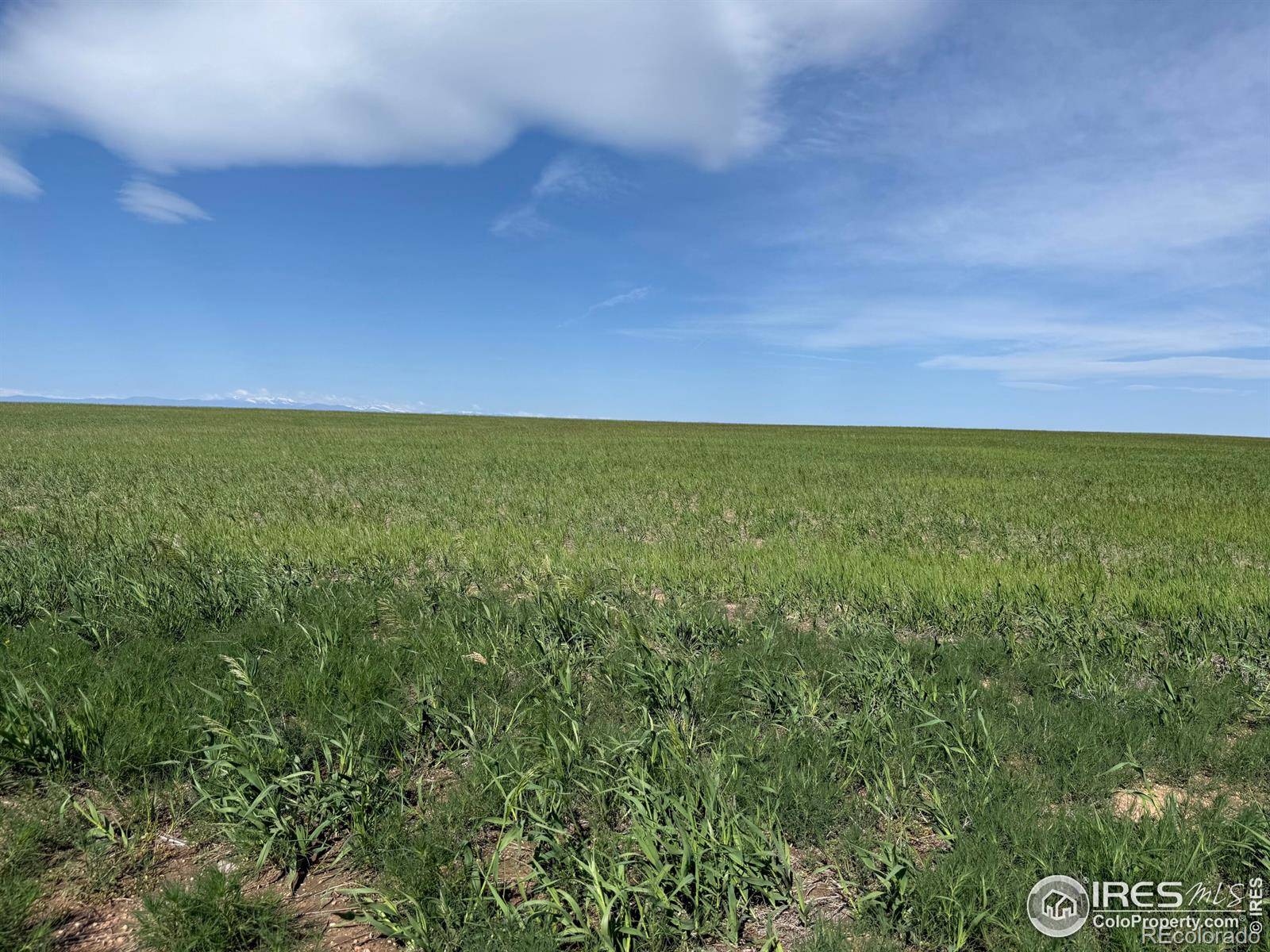 Carr, CO 80612,1 TBD FFD25-0005 LotA CO Road 15