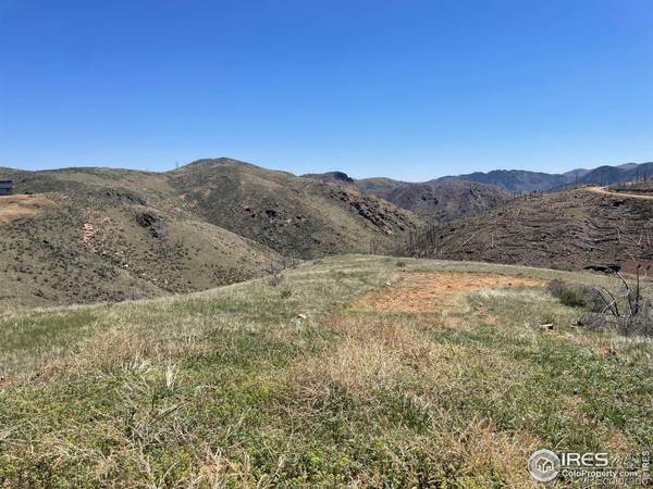 890 Meadow Mountain DR, Livermore, CO 80536