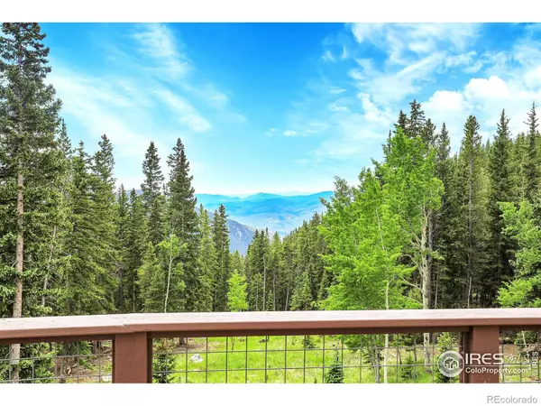 Idaho Springs, CO 80452,1176 Raven Ridge RD