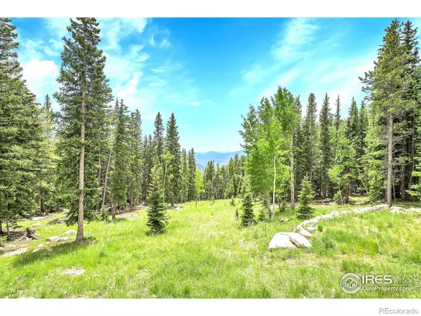 Idaho Springs, CO 80452,1176 Raven Ridge RD