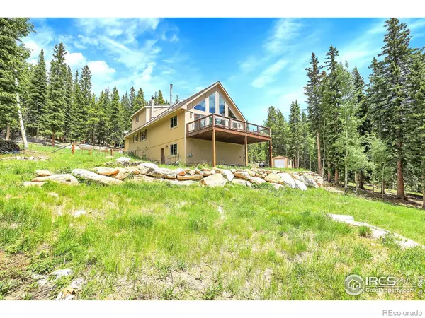 Idaho Springs, CO 80452,1176 Raven Ridge RD