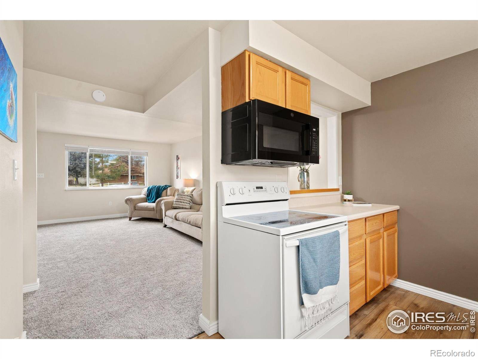 Windsor, CO 80550,707 3rd ST #5