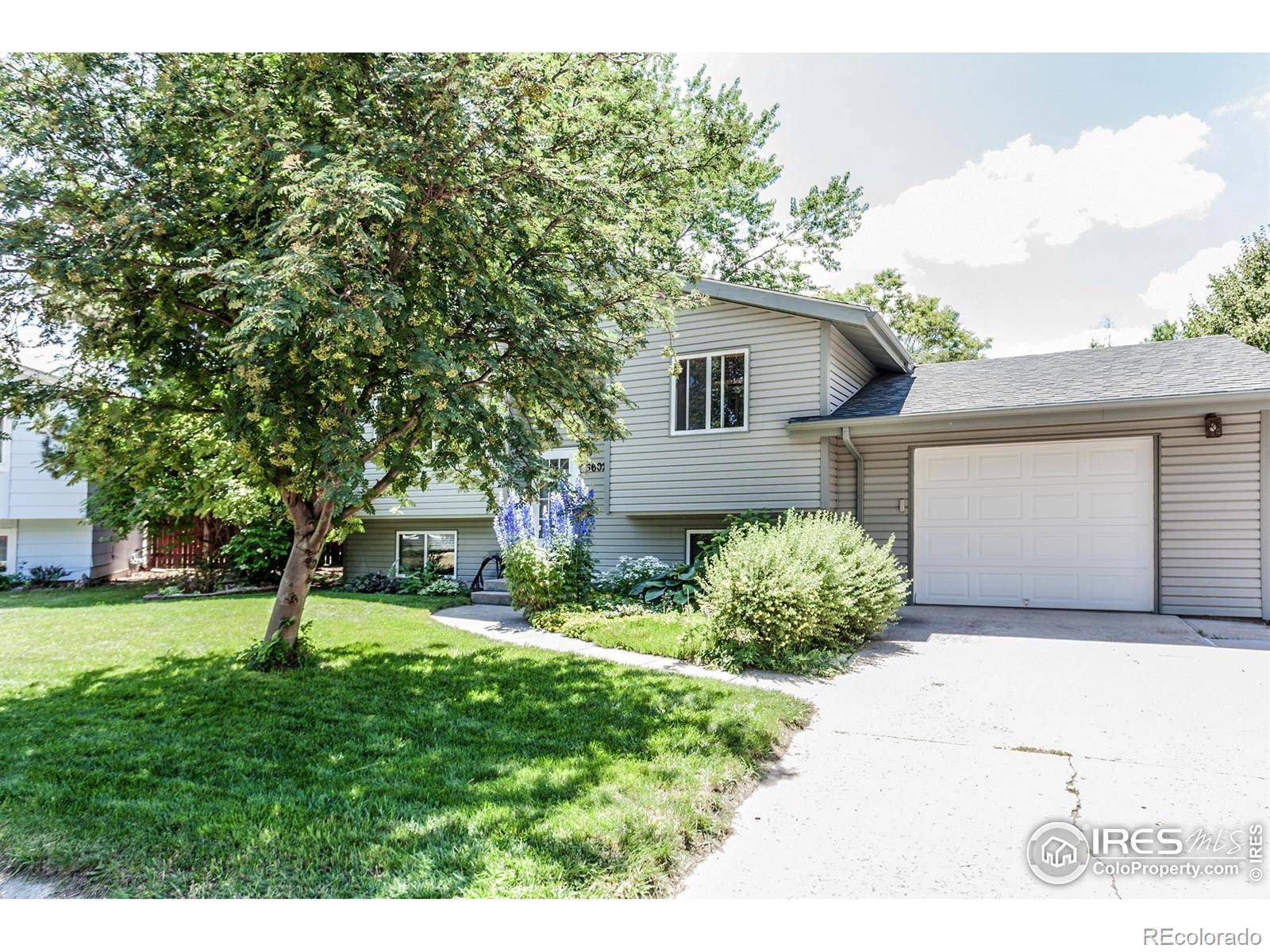 Laporte, CO 80535,3602 Post RD